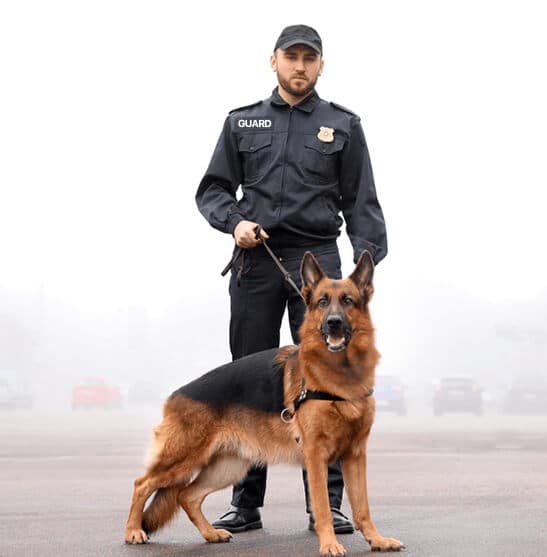 BGN guard dog patrol unit with trained security dog